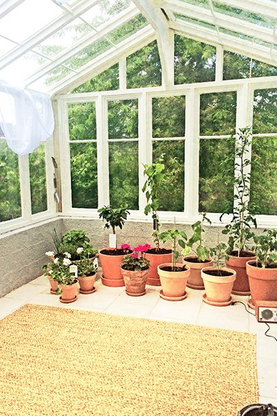 Växthus av gamla fönster - Vi i Villa