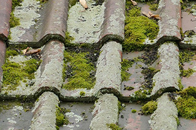 Takexperterna Decatak förespråkar behandling istället för att lägga pengar på ett nytt tak. Med rätt behandling håller tak betydligt längre än många tror, och en vaxbehandling håller fukt och mossa borta i många år framöver.