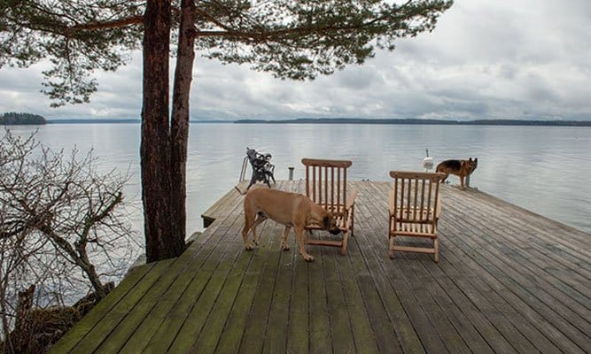 Travstjärnan Stefan Hultman njuter av sin egen udde - Vi i Villa
