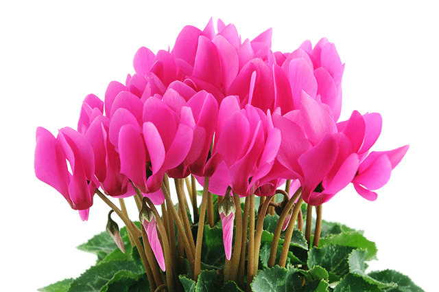 3 höstiga favoriter - Vi i Villa