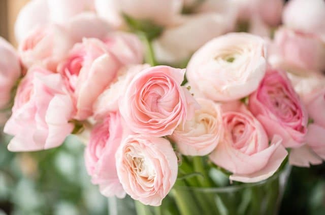 Vi i Villa har testat superknepet som gör vasen skinande ren!