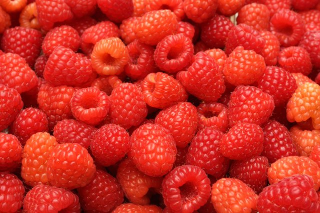 Så lyckas du med hallonbuskar - Vi i Villa