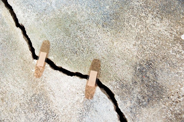 Träd nära ditt hus, kan de orsaka sättningsproblem? - Vi i Villa