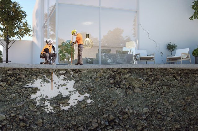 Träd nära ditt hus, kan de orsaka sättningsproblem? - Vi i Villa
