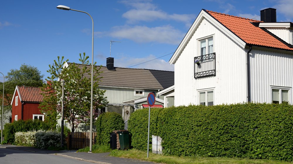 Visst är det vackert med träd och buskar runt huset? Problemet är att de riskerar göra marken instabil och leda till allvarliga sättningar.