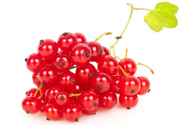 Skördetips – så enkla att de faktiskt blir av! - Vi i Villa