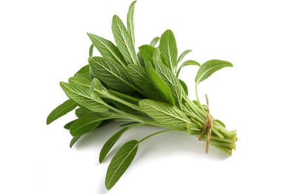 Skördetips – så enkla att de faktiskt blir av! - Vi i Villa