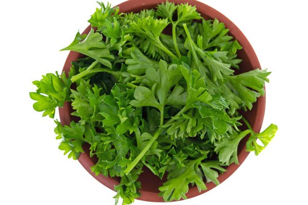 Skördetips – så enkla att de faktiskt blir av! - Vi i Villa