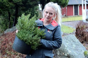 Mögliga dahliaknölar! - Vi i Villa