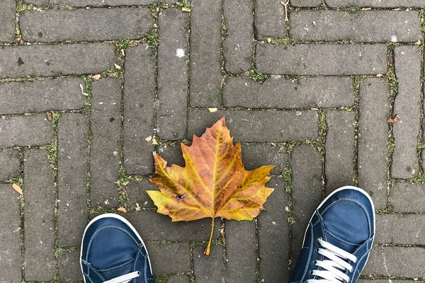 5 fina markläggningar - Vi i Villa