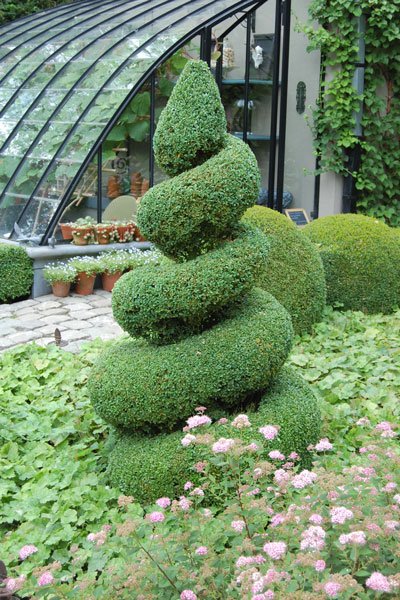 Formklipp – lär dig beskära buxbom och andra buskar - Vi i Villa