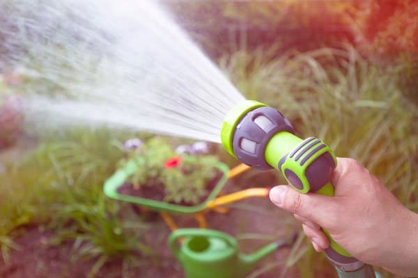 Bekämpa bladlöss – här är knepen - Vi i Villa