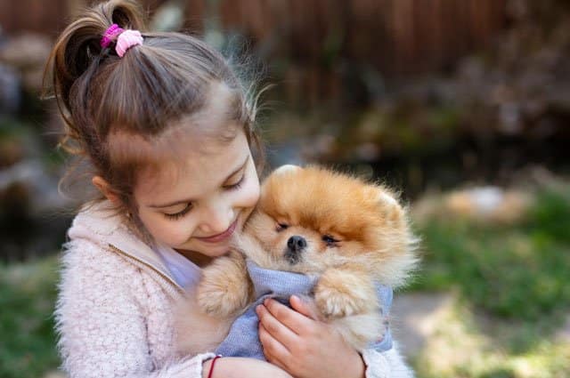 Funderar ni på att köpa en hundvalp? Det finns många hundraser, i varierande storlekar och med olika temperament. Så välj med omsorg för att få en hund som passar in i familjen och det liv ni lever.