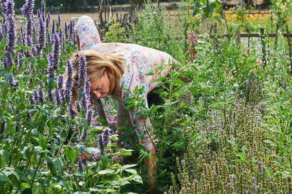 Pernilla Månsson Colt låter ogräset vara: ”Jag har blivit lat” - Vi i Villa