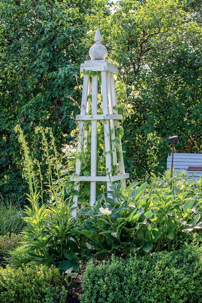 Bygg ett rosentorn – så gör du! - Vi i Villa