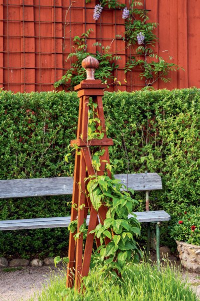 Bygg ett rosentorn – så gör du! - Vi i Villa