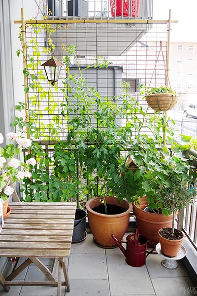 8 smarta insynsskydd till balkongen - Vi i Villa