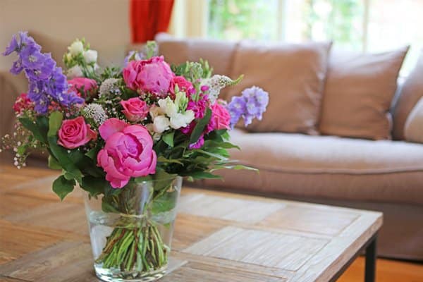 Bakpulver – mirakelmedlet för trädgården - Vi i Villa