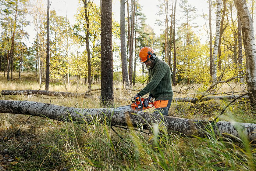 Ta bort träd och sly – bästa metoderna - Vi i Villa