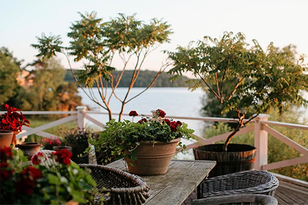 Victorias bästa altantips är att välja en enda färgskala och att ordna någon form av tak där man ska sitta, som en trädkrona eller ett segel. ”Det blir mycket mysigare om man bygger lite på höjden.” På altanen har hon två stora ekfat med fliksumak. Dem odlar hon helst i kruka eftersom de får mycket rotskott.