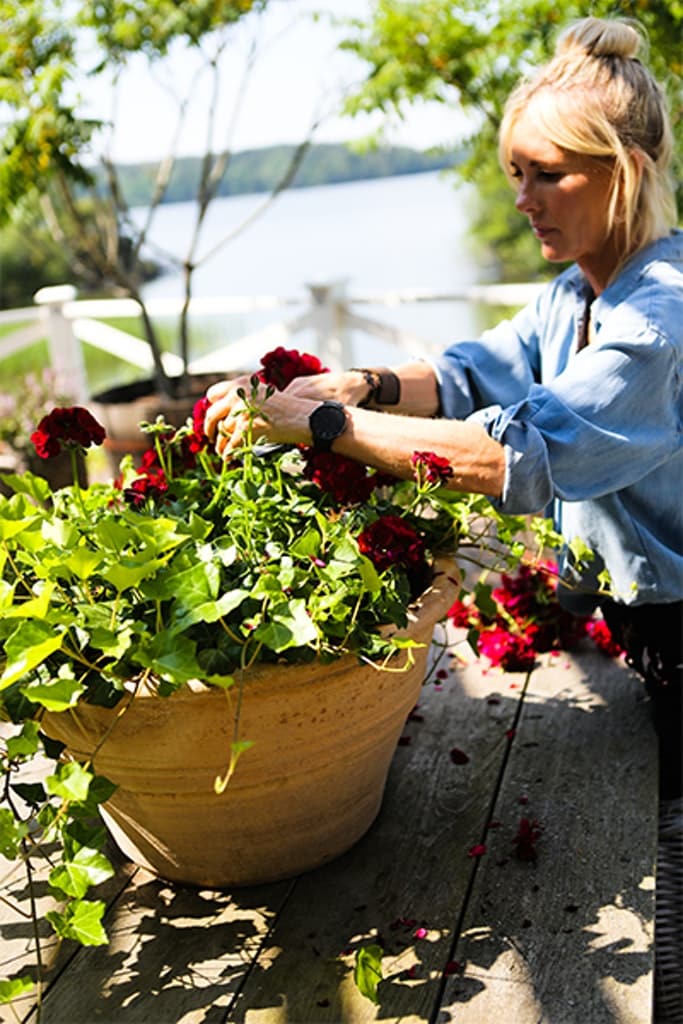Victoria Skoglunds glödheta växter i krukor! - Vi i Villa