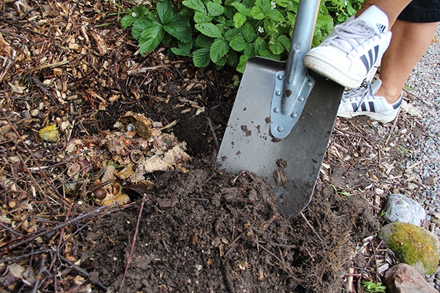 För att matresterna ska omvandlas till kompostjord behöver de grävas ner i jorden. Foto: Bokashi.se/Stina Valheim