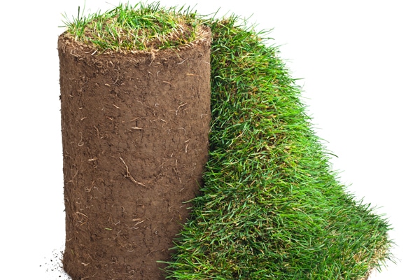 Höstfix i trädgården – 9 tips från vår trädgårdsmästare! - Vi i Villa