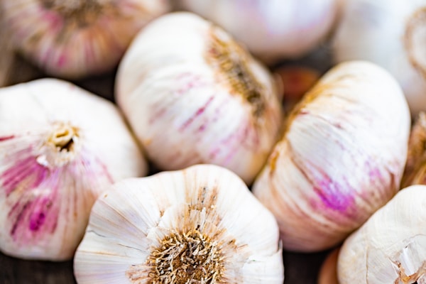 Höstfix i trädgården – 9 tips från vår trädgårdsmästare! - Vi i Villa