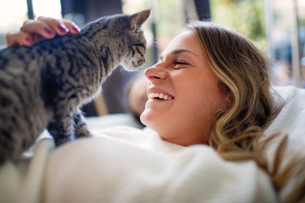 10 tecken på att din katt verkligen älskar dig - Vi i Villa