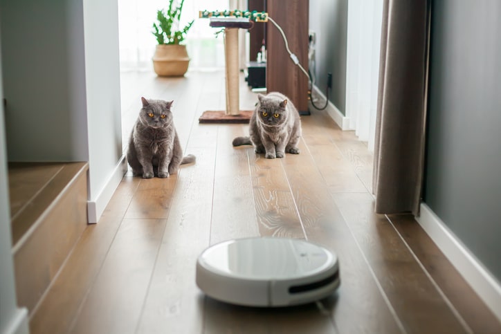 Robotdammsugare – så lyckas du med den lilla städhjälpen! - Vi i Villa