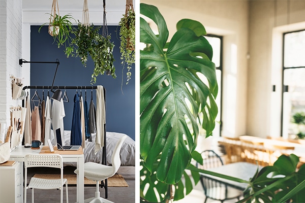 Foto: Ikea och Istock