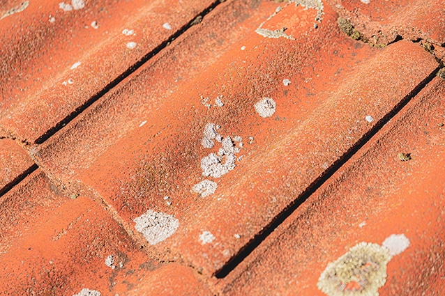 Så här ser takpannorna ut före och efter rengöring och behandling.