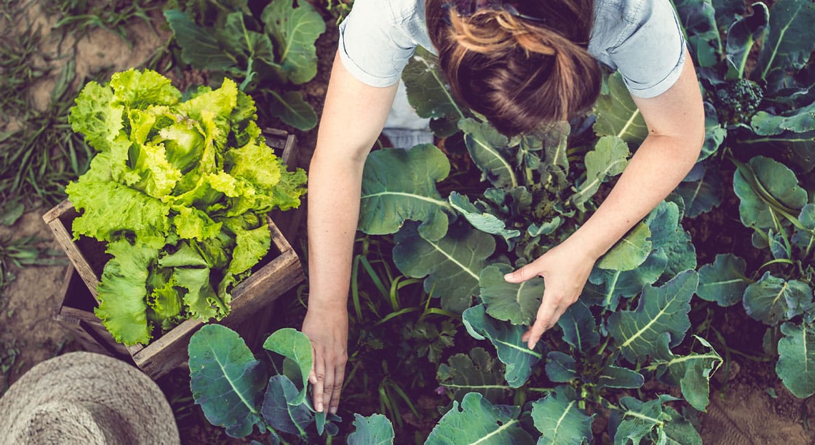 Vill du leva mer hållbart, men tycker att det är svårt att veta var du ska börja? Här är enkla saker du kan göra redan idag  – som gör skillnad för vår miljö!