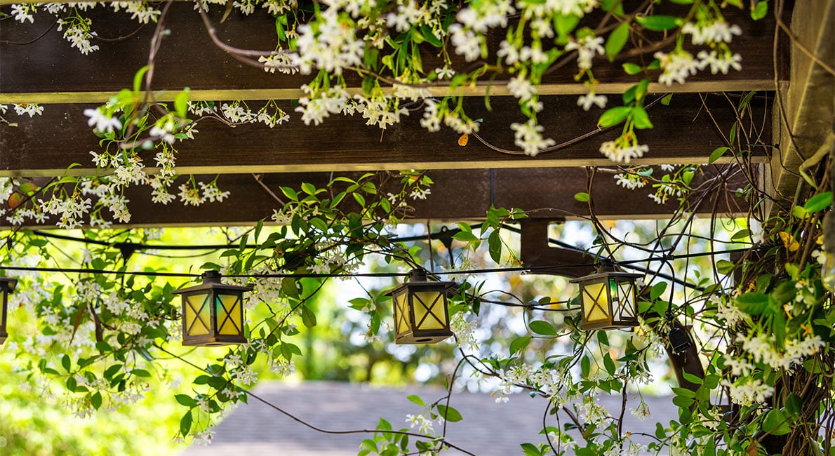 Det perfekta stället på uteplatsen är förstås under en pergola med tak! Här ger vi tips på hur du ska tänka med skydd för väder och vind, och hur du kan klä den.