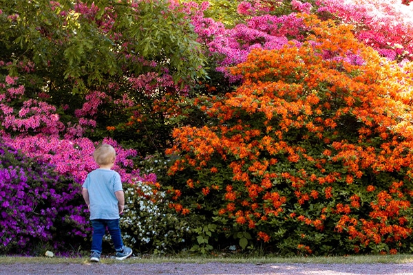 Foto: Mattias Berglund