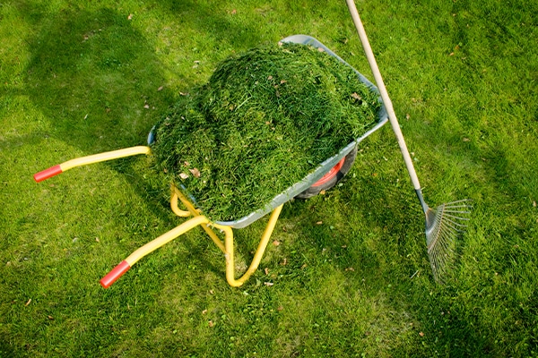 Snåljåpens 7 bästa trädgårdstips - Vi i Villa