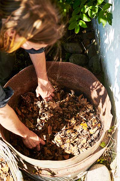 För att slippa köpa jord, gör kompostkrukor. Varva gammal jord med gräsklipp och löv, som i en lasagne. Tryck ner hårt och fyll ända upp.