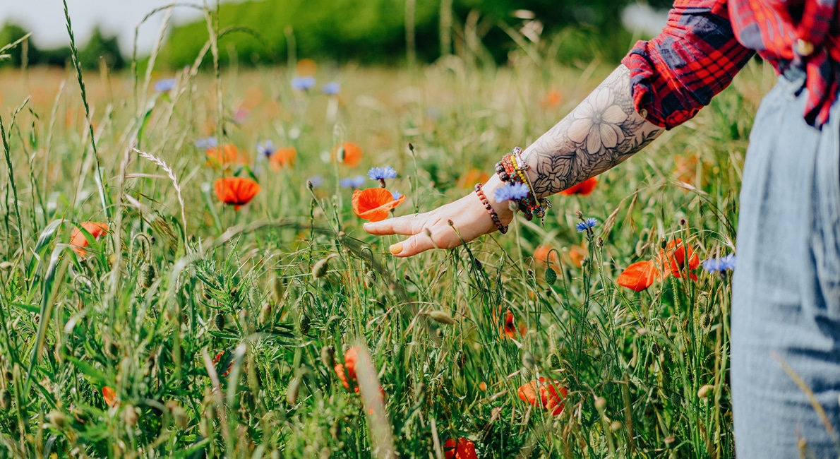 Vill du att trädgårdslivet ska kännas både lustfyllt och ­miljövänligt? Här listar vi smarta tips för dig som vill tänka mer hållbart och värna om både djur, natur och plånbok.