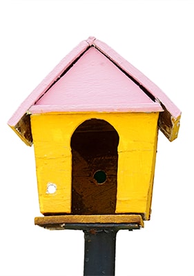 Odla miljösnällt – 28 hållbara tips - Vi i Villa