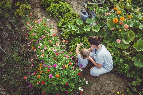 Odla miljösnällt – 28 hållbara tips - Vi i Villa