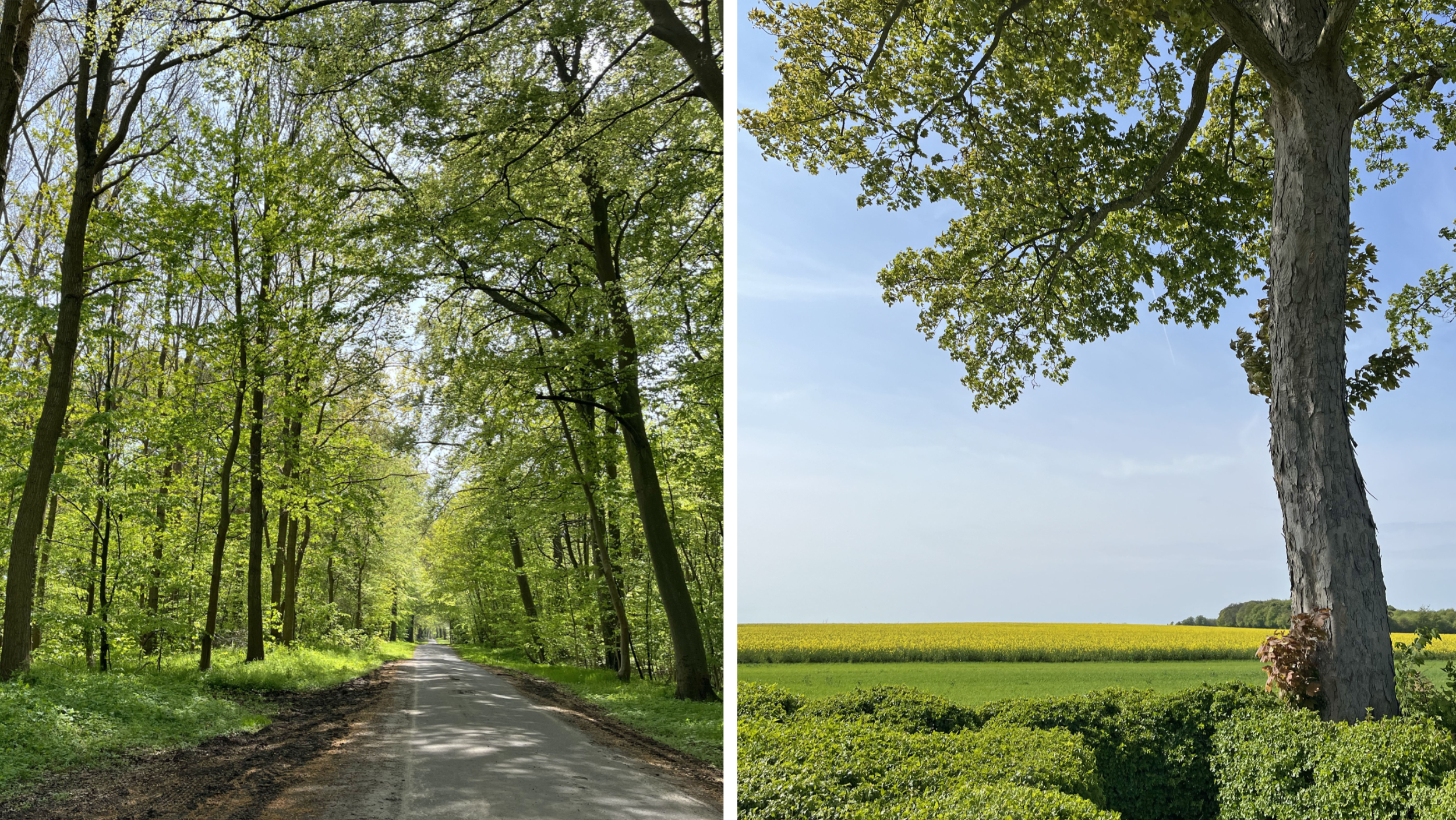 Semestra i Danmark i sommar – upptäck pärlorna på Lolland och Falster - Vi i Villa