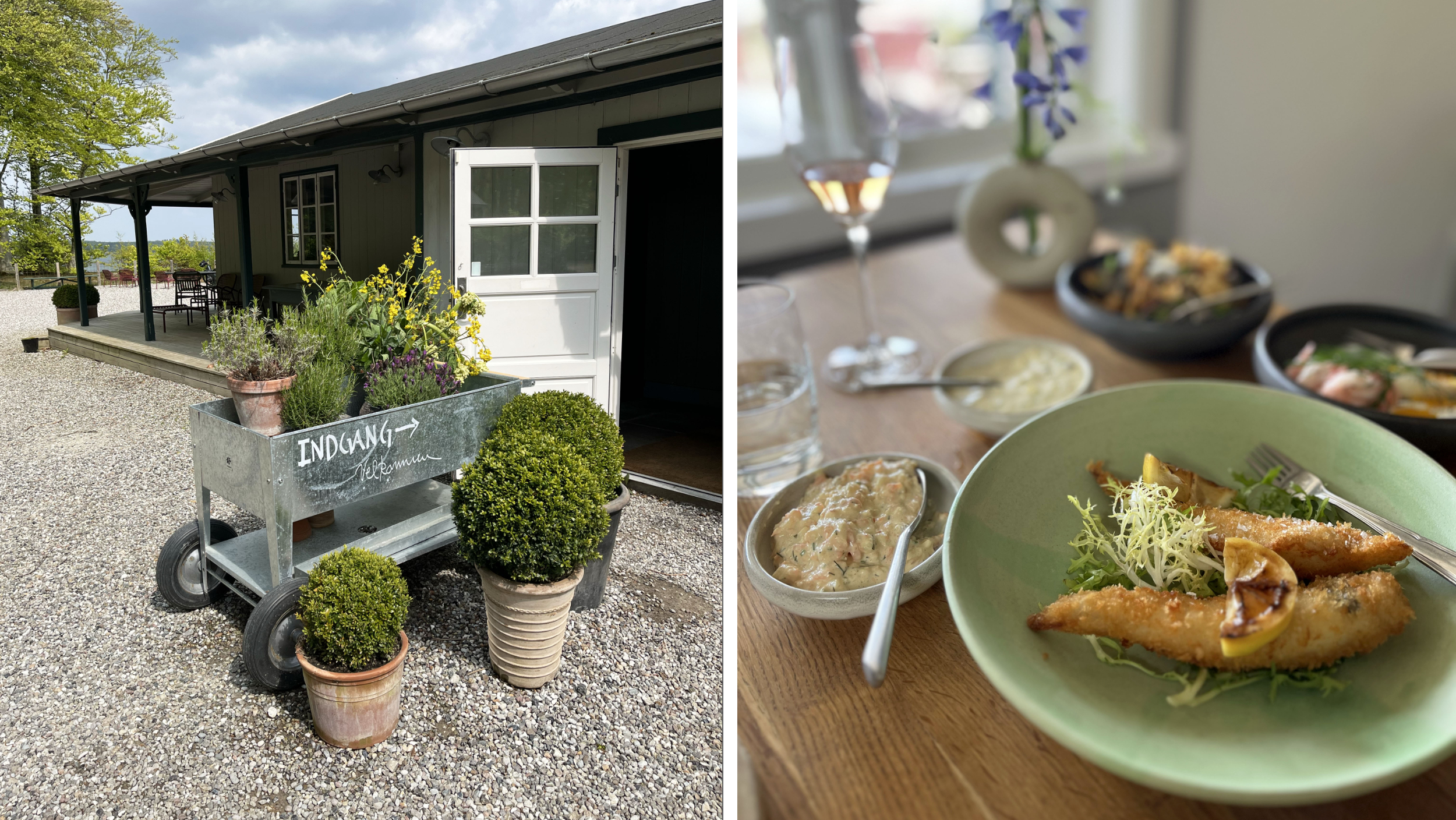 Semestra i Danmark i sommar – upptäck pärlorna på Lolland och Falster - Vi i Villa