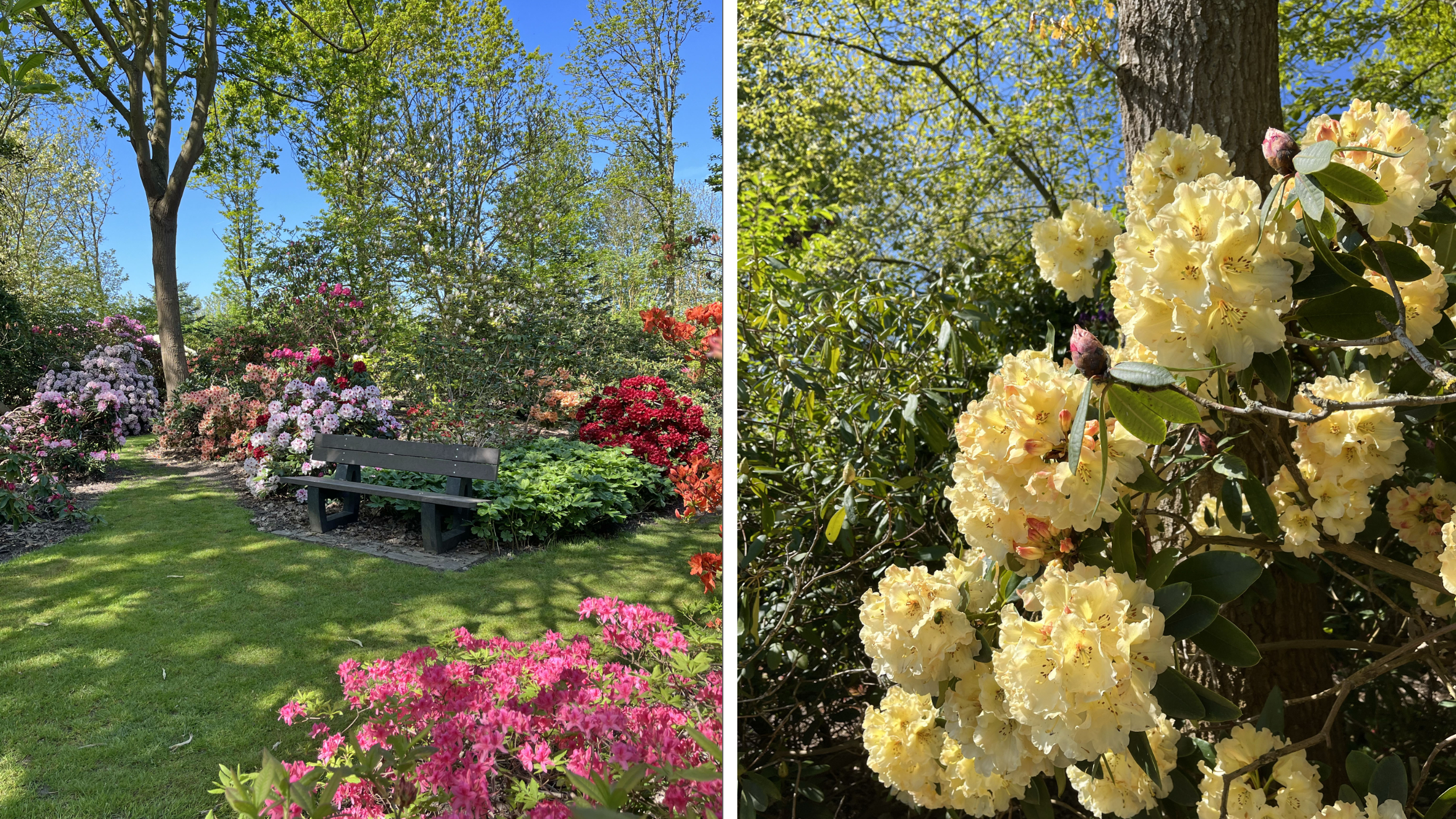 Semestra i Danmark i sommar – upptäck pärlorna på Lolland och Falster - Vi i Villa