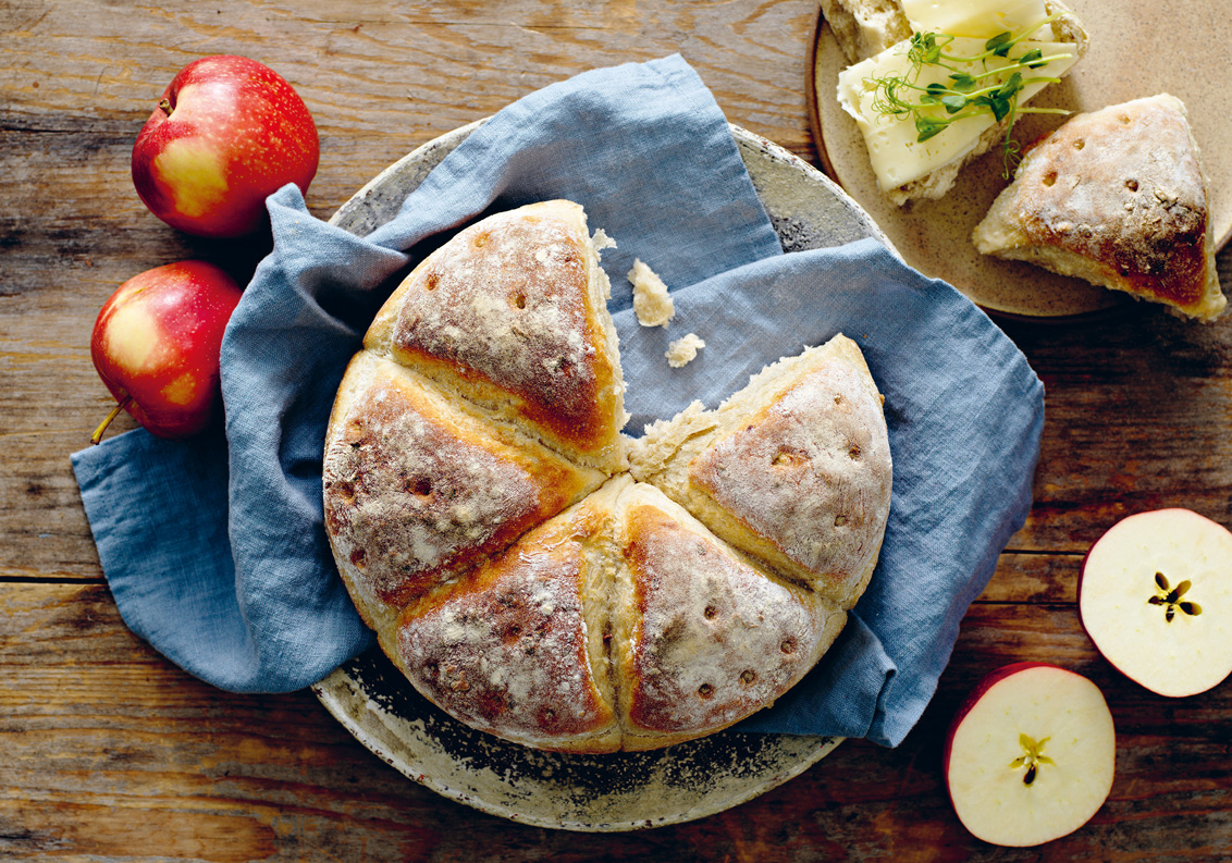 Det kan du göra med äppelskörden – 20 goda recept - Vi i Villa