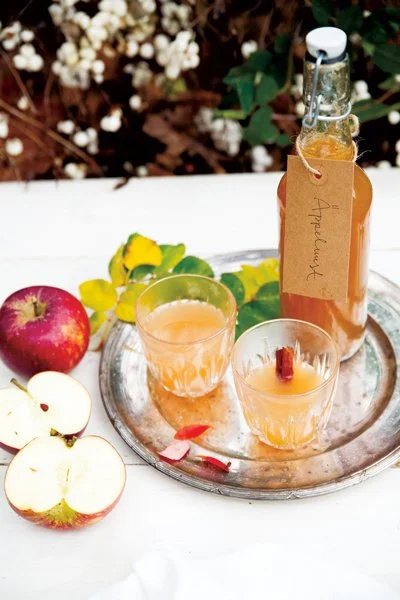 Det kan du göra med äppelskörden – 20 goda recept - Vi i Villa