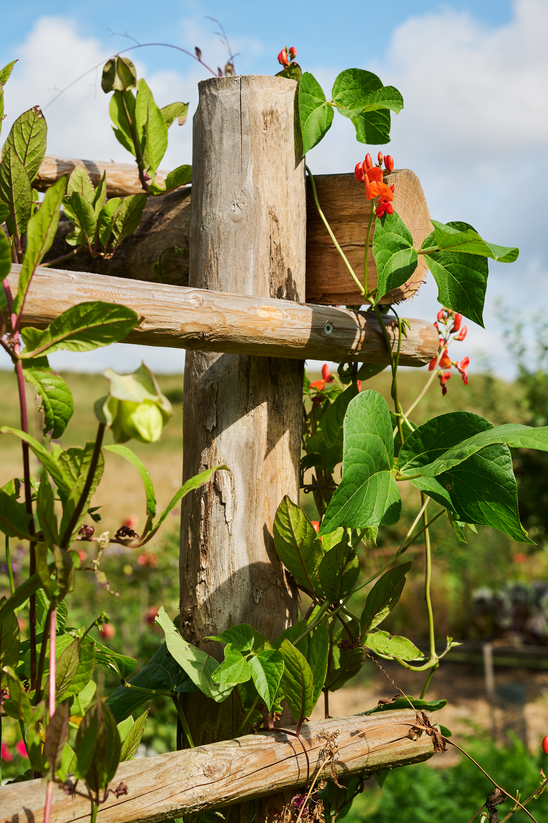  Foto: Peter Carlsson