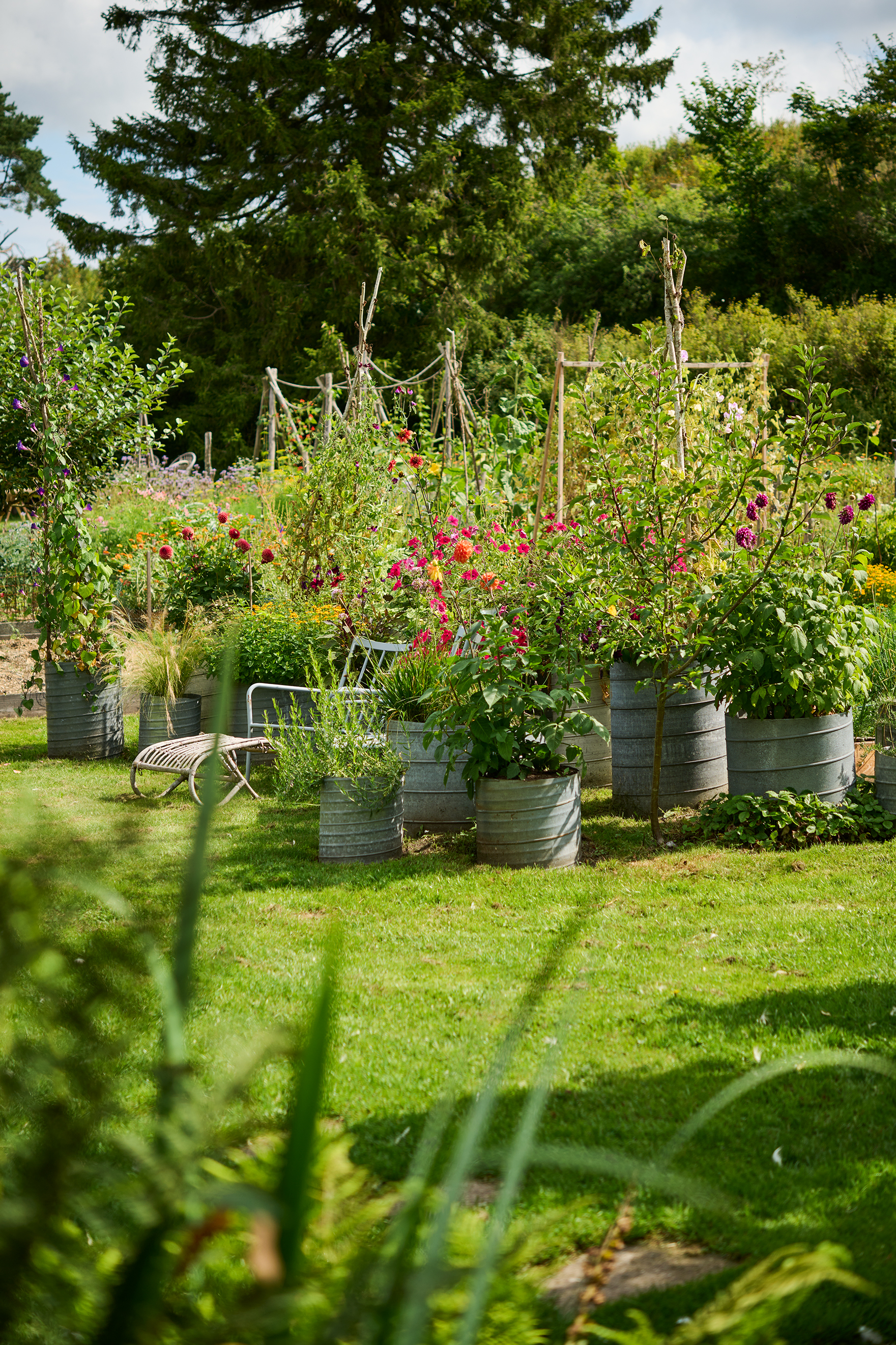 Gården ligger i zon 2, gränsande till 3. Den närliggande åsen bidrar till att göra platsen till ett köldhål. Redan i augusti kan frosten nypa till och ta sommarblommorna. Foto: Peter Carlsson