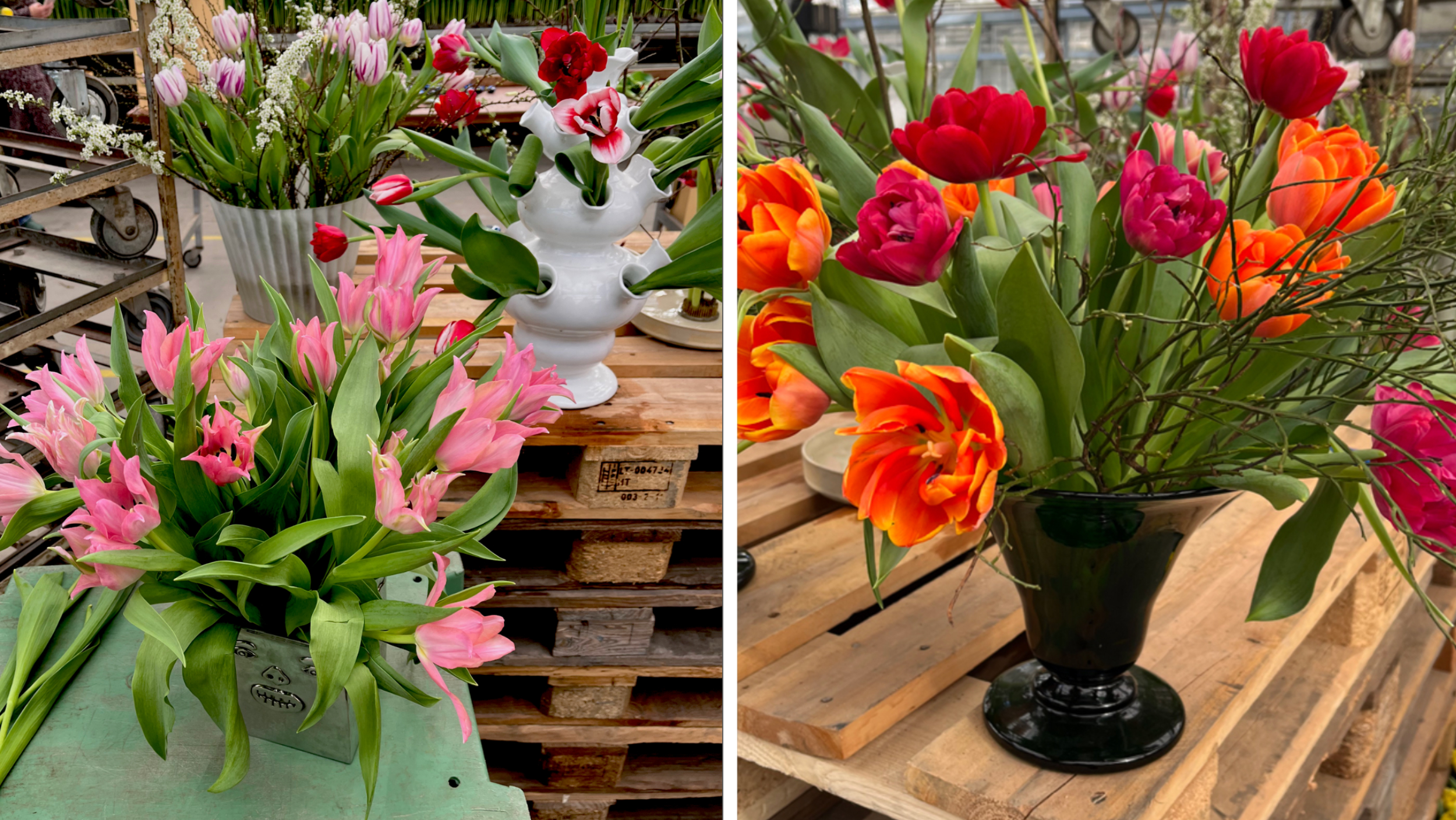 Johans egna tulpanvaser. Krukan Eric Ericson från Svenskt tenn, en randig glasvas formgiven av Ingegerd Råman, en vit vas av Christian Dior och favoriten – en grön glasvas designad av Edvin Ollers.