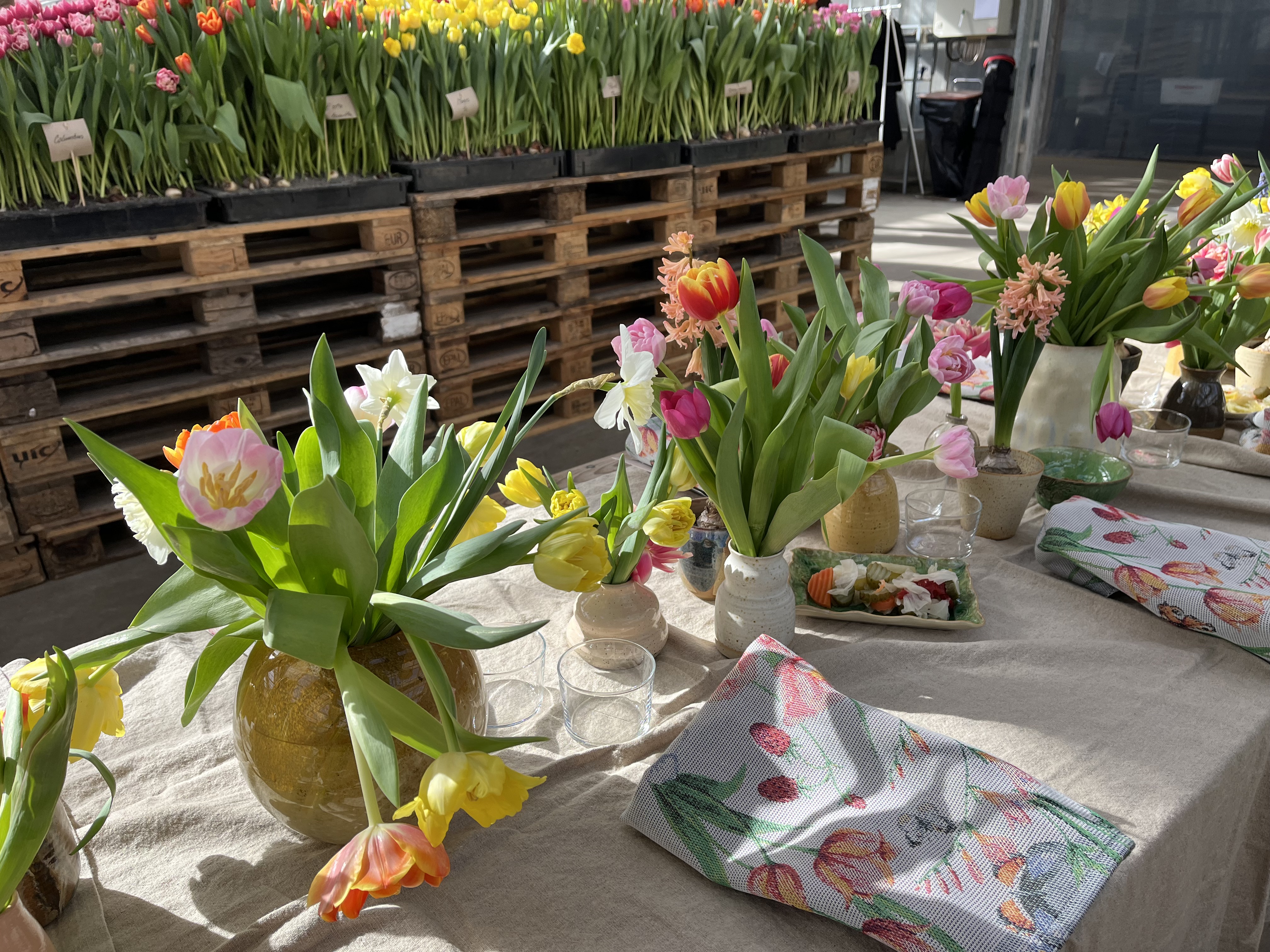 Floristen Johan Munters bästa tips för tulpanbuketten - Vi i Villa