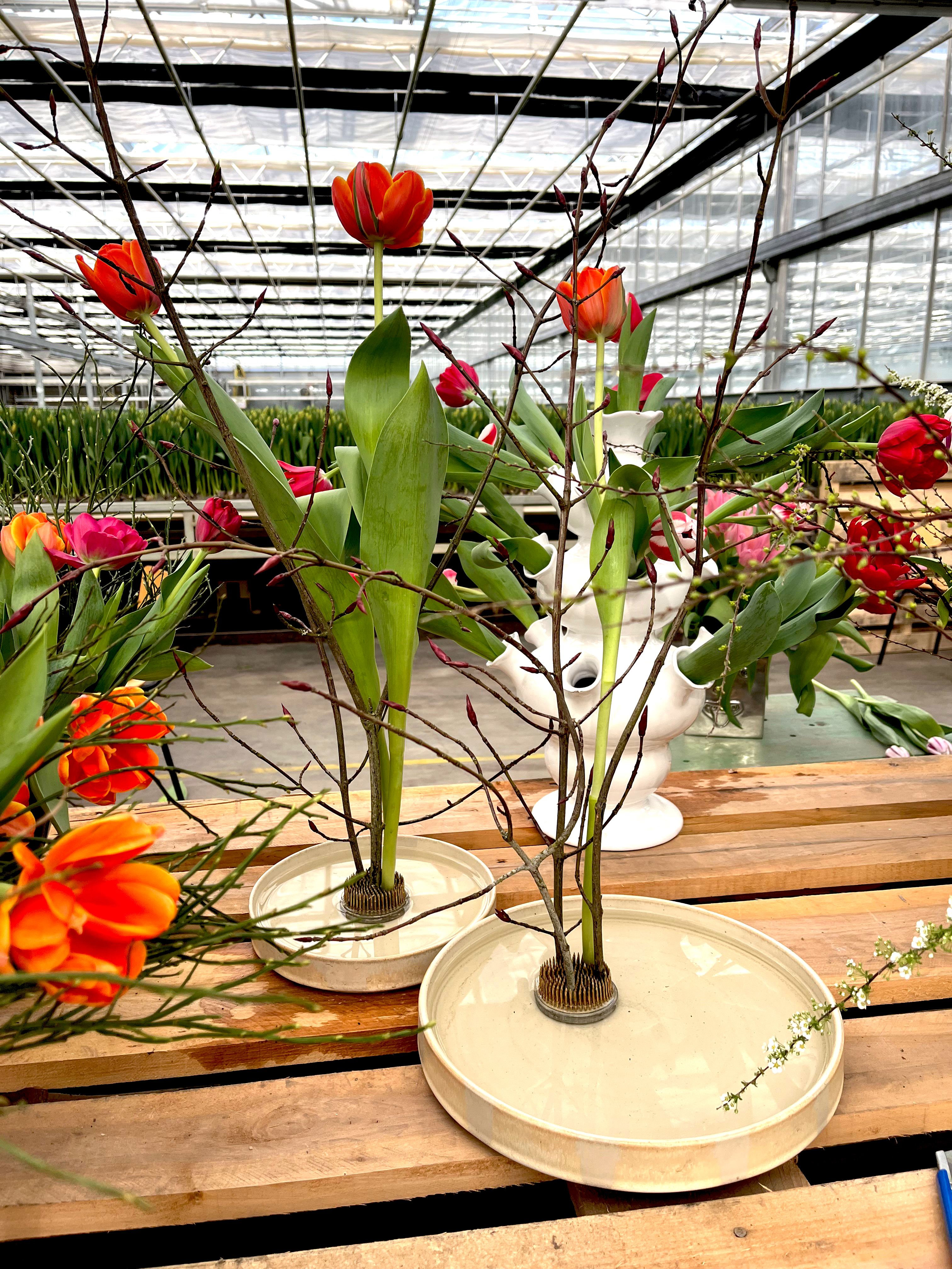 Floristen Johan Munters bästa tips för tulpanbuketten - Vi i Villa